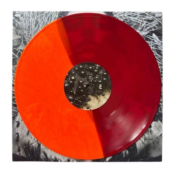 Autographed Converge Jane Live 2LP – Newbury Comics Exclusive Flame Vinyl - Picture 10 of 13